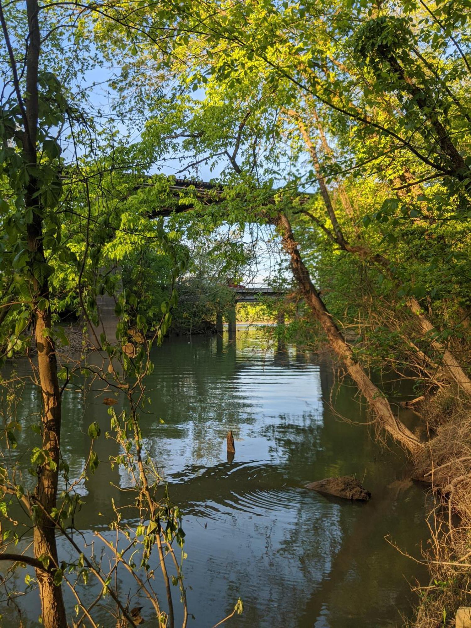 River Cabin Hot Tub & Swim Spa Near Downtown Chattanooga Zewnętrze zdjęcie
